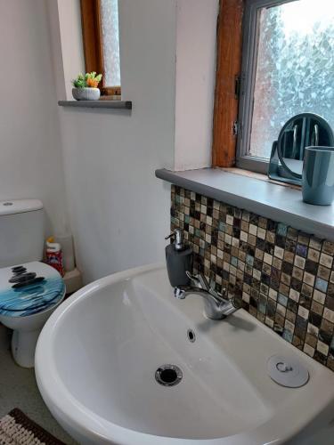 a bathroom with a sink and a toilet at The Courtyard Hideout in Hereford