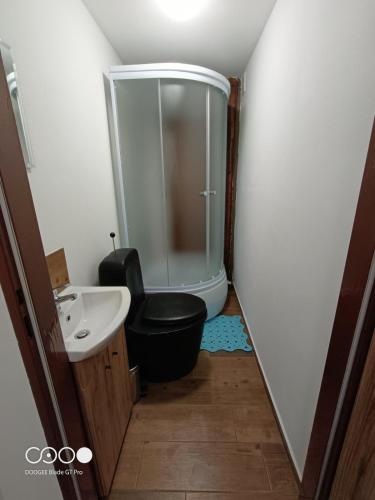 a bathroom with a toilet and a sink and a shower at Chatička For Funny in Horní Slavkov