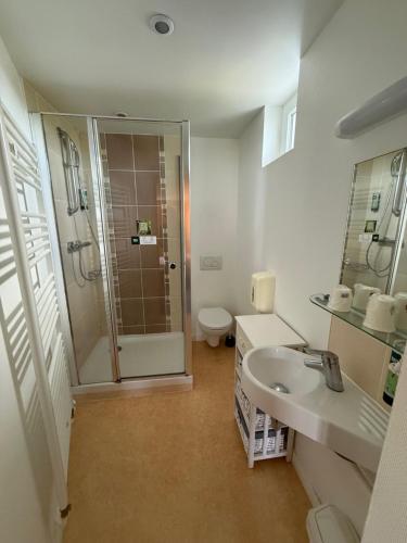 a bathroom with a shower and a sink and a toilet at Logis Hôtel Au Moyne de Saire in Réville