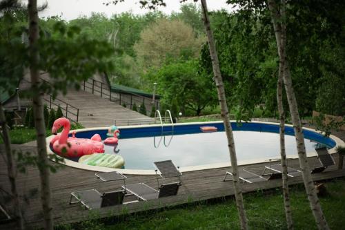 a swimming pool with a pink flamingo in the middle at El Rancho De Stayki in Stayki