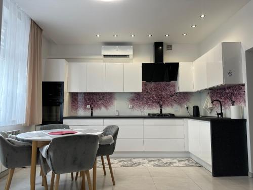 Apartament Panorama Beskidu - Rymanow Rynek