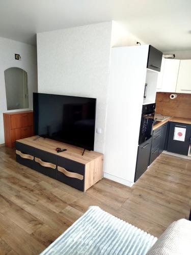 a living room with a large flat screen tv at Soldino Apartments in Narva