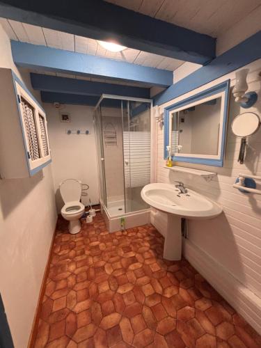 a bathroom with a sink and a toilet at Gîte Landes d armagnac in Roquefort