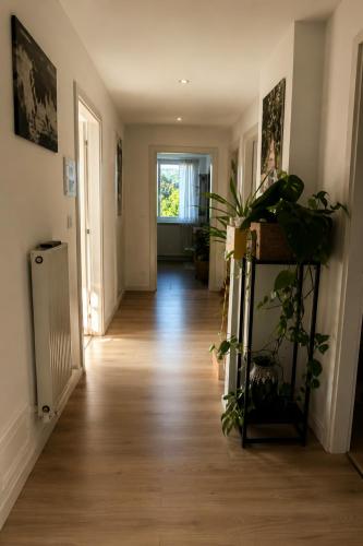 a hallway with wooden floors and plants in a house at Appartment Lodged Mamma Maria in Mattarello