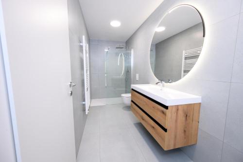 a bathroom with a sink and a mirror at Cirus Riverfront Kolpa & Rafting in Kočevje