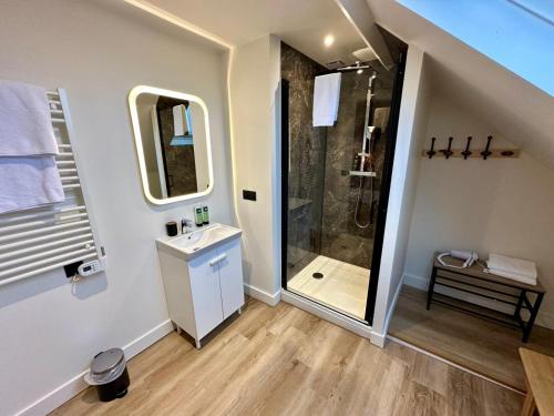a bathroom with a walk in shower and a sink at Logis Hôtel-restaurant Le Grand Cerf in Ernée