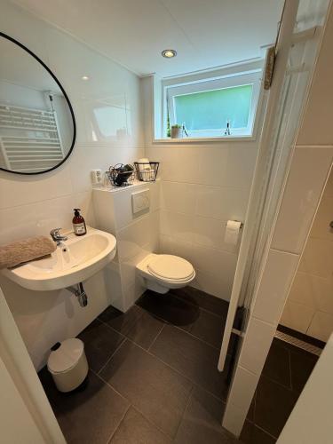 a bathroom with a sink and a toilet and a window at Vakantiewoning Asteri's Home in Simpelveld
