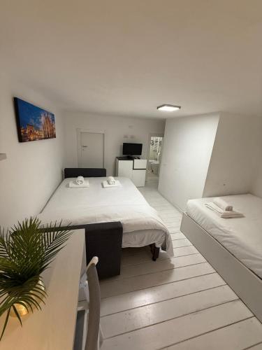 comfort loft Milano 3BR 3BA and fast Wi-Fi 15 minutes to Duomo