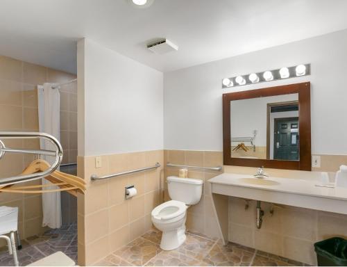 a bathroom with a toilet and a sink and a mirror at Georgetown Lodge in Georgetown