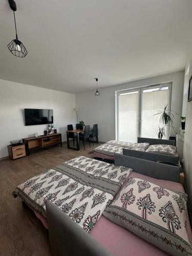 a room with two beds and a television in it at APARTAMENT Z TARASEM STELLA in Sanok