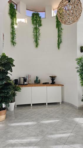 a room with a table with plants on the wall at MarEden Sicily Room , Relax e Bonsai in Favara