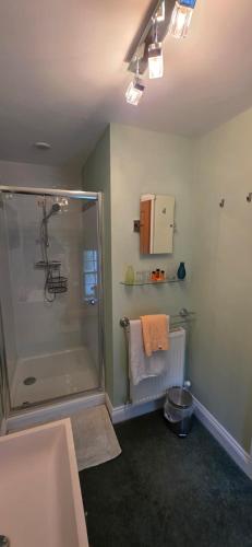 a bathroom with a shower and a sink at Island House in Lanercost
