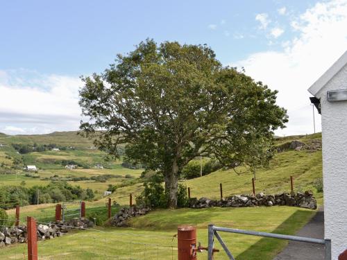 a tree on a hill with a herd of sheep at Waterfall Cottage in Glendale