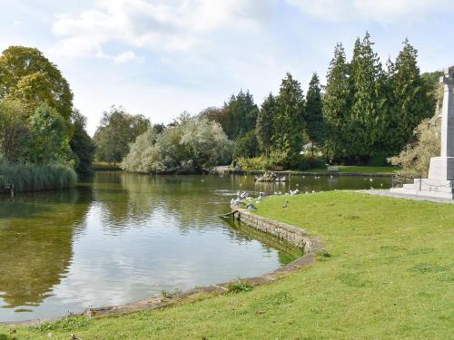 a group of birds sitting on the bank of a river at Cartmel Cottage in Lindale