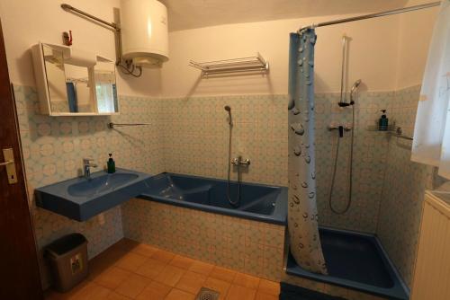 a bathroom with a blue sink and a shower at Hiša Varleh in Mengeš