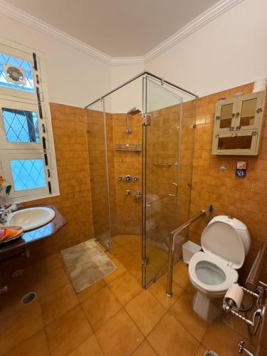 a bathroom with a shower and a toilet and a sink at Chinarchalet in Pālampur