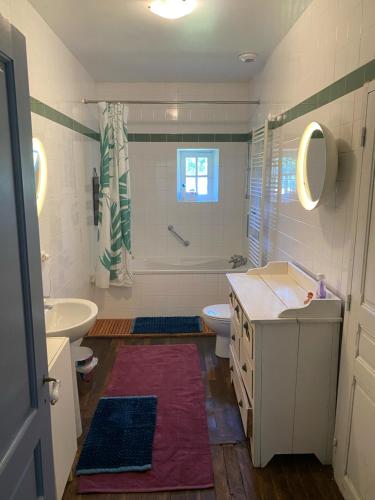 a bathroom with a sink and a toilet at Chateau de Grandsagne in Bonnat
