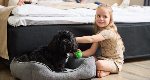 Animal sau animale de companie care stau la Best Western Plus Hotel Odense