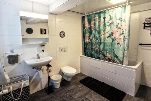 a bathroom with a sink and a toilet and a shower curtain at The Alpine Studio Hideout in Schwanden