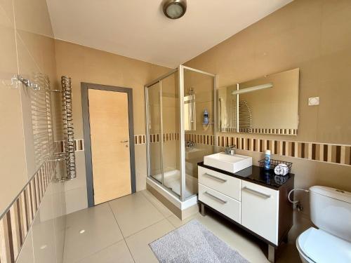 a bathroom with a sink and a shower and a toilet at Apart Mi in Novi Sad