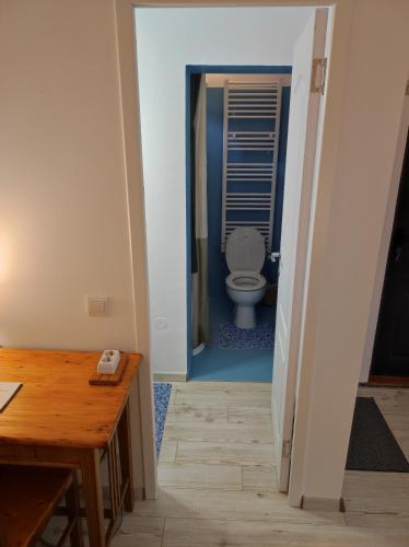 a hallway leading to a bathroom with a toilet at Chostello Ecomis Clasik in Sibiu