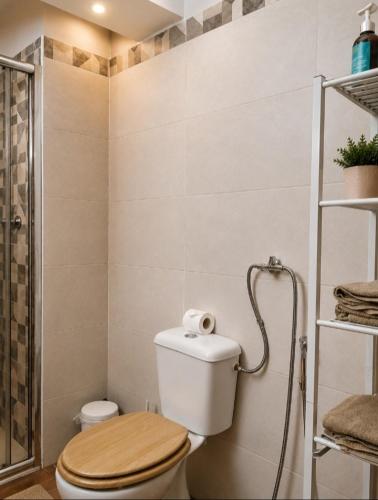 a small bathroom with a toilet and a shower at Casa à Porta do Torreão in Silves