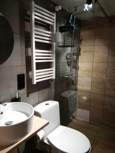 a bathroom with a toilet and a sink and a shower at Panorama Pienin- apartamenty i studio in Sromowce Wyżne