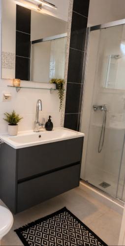 a bathroom with a sink and a shower at Apartman Taraca Villa Knezevic in Herceg-Novi