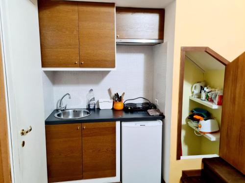 Roma Mini Flat