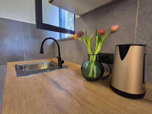 a kitchen counter with a sink and a vase with flowers at Casa Morlacca in Matulji