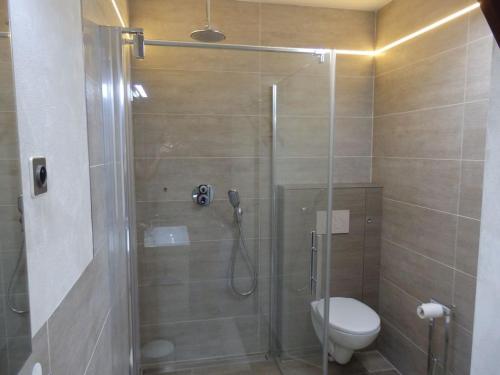 a bathroom with a shower with a toilet at La demeure Flieg in Cernay