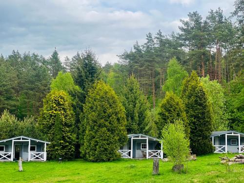 a group of cottages in a field with trees at Domki w Lesie in Silnowo
