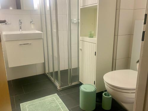 a bathroom with a shower and a toilet and a sink at Haus Anemona in Savognin