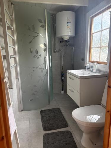 a bathroom with a shower and a toilet and a sink at Sportfiskestugan in Färjestaden