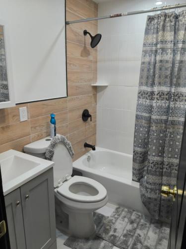 a bathroom with a toilet and a sink and a shower at Log Comfort 3 in Irvington