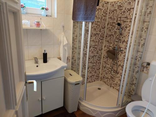a bathroom with a shower and a sink and a toilet at Anna-lak in Gyula