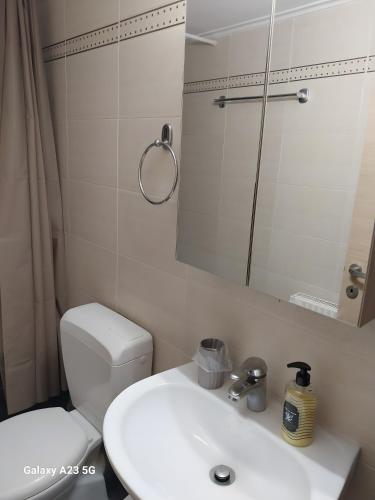 a bathroom with a toilet and a sink and a mirror at Menidi Apartment 101 in Menídion