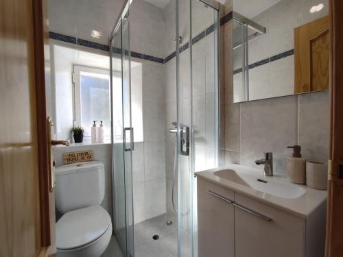 a bathroom with a shower and a toilet and a sink at El cielo de Béjar, casa rural in Béjar