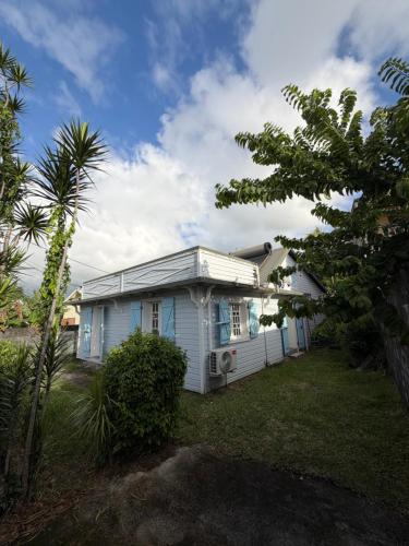a small blue house with a palm tree in the yard at Maison de Charme tout confort in Saint-André