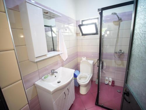 a bathroom with a toilet and a sink and a shower at Vila Muca in Peshkopi