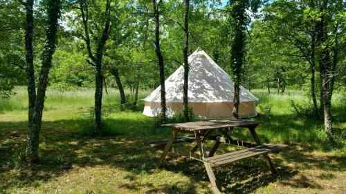 a tent sitting on a picnic table in the woods at La mesange in Vaylats