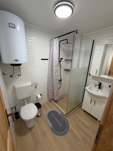 a bathroom with a toilet and a shower and a sink at Studio Apartman Tea, Žabljak in Žabljak