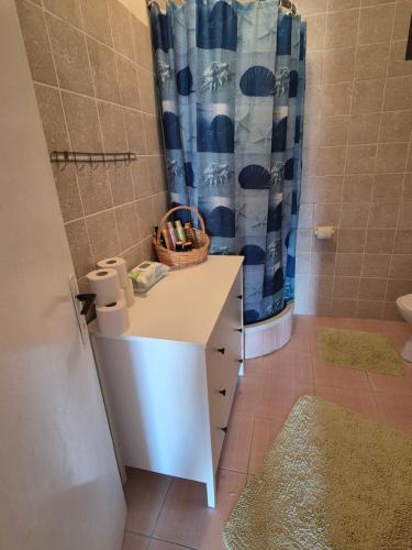 a bathroom with a sink and a toilet and a shower at Holiday Home Albina in Kustići