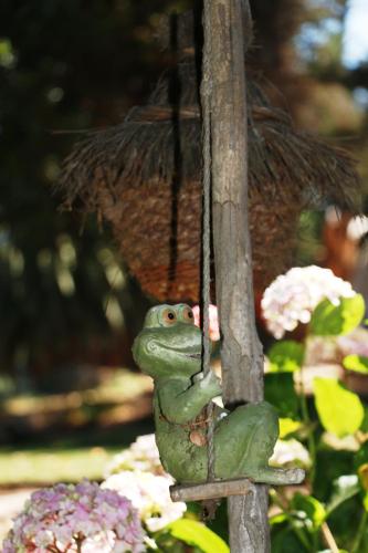 a frog ornament hanging from a tree at Posada del Parque in Concón