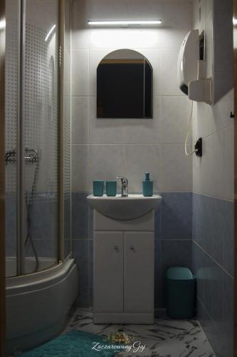 a bathroom with a sink and a shower at Zaczarowany Gaj in Gaj Grzmięca