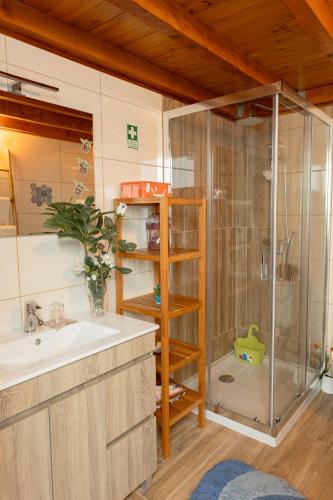 a bathroom with a shower and a sink and a shower at Casa Fontenario in Vila Real