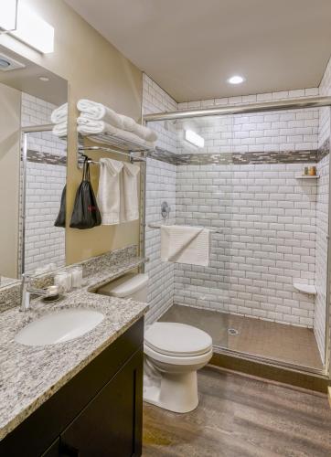a bathroom with a toilet and a sink and a shower at Waybound Yosemite in Fish Camp