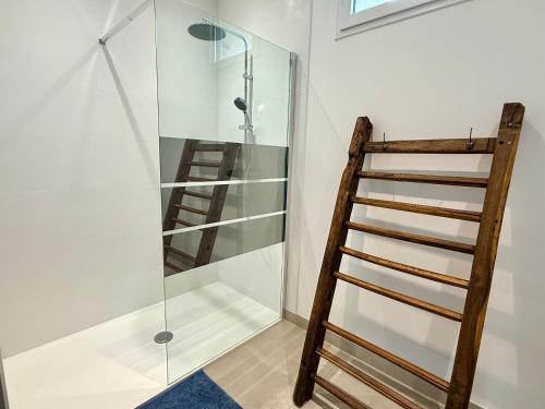 a glass walk in shower with a wooden ladder at Moulin de Bas Couleur in Villedômer