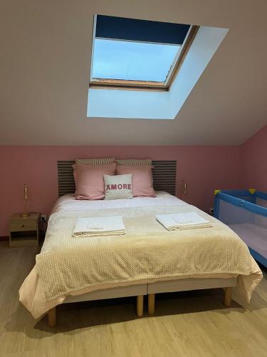 a bedroom with a bed with pink walls and a skylight at Le pré des noisettes in Angomont