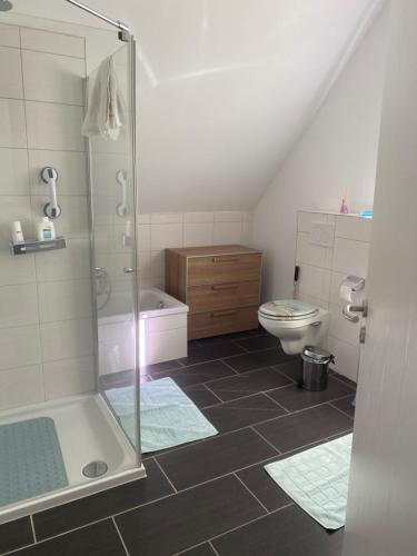 a bathroom with a shower and a toilet at Haus Else am Nationalpark Eifel in Schleiden